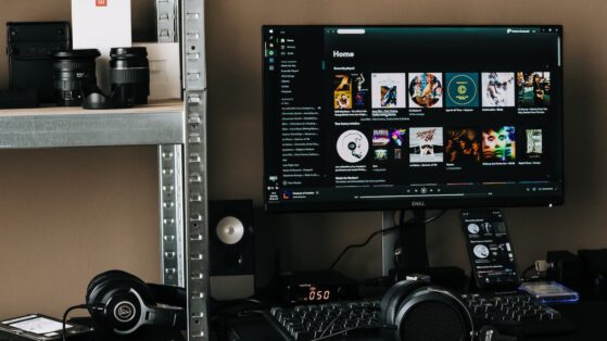 Case Studies: Success Stories from Independent Artists on Spotify